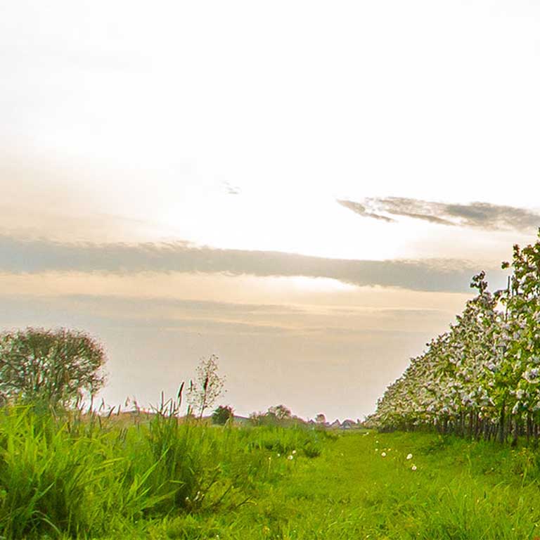 Hintergrundbild Landschaft im Hochformat