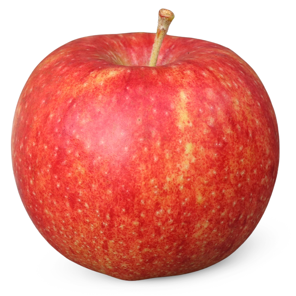 Roter Altländer, 4kg